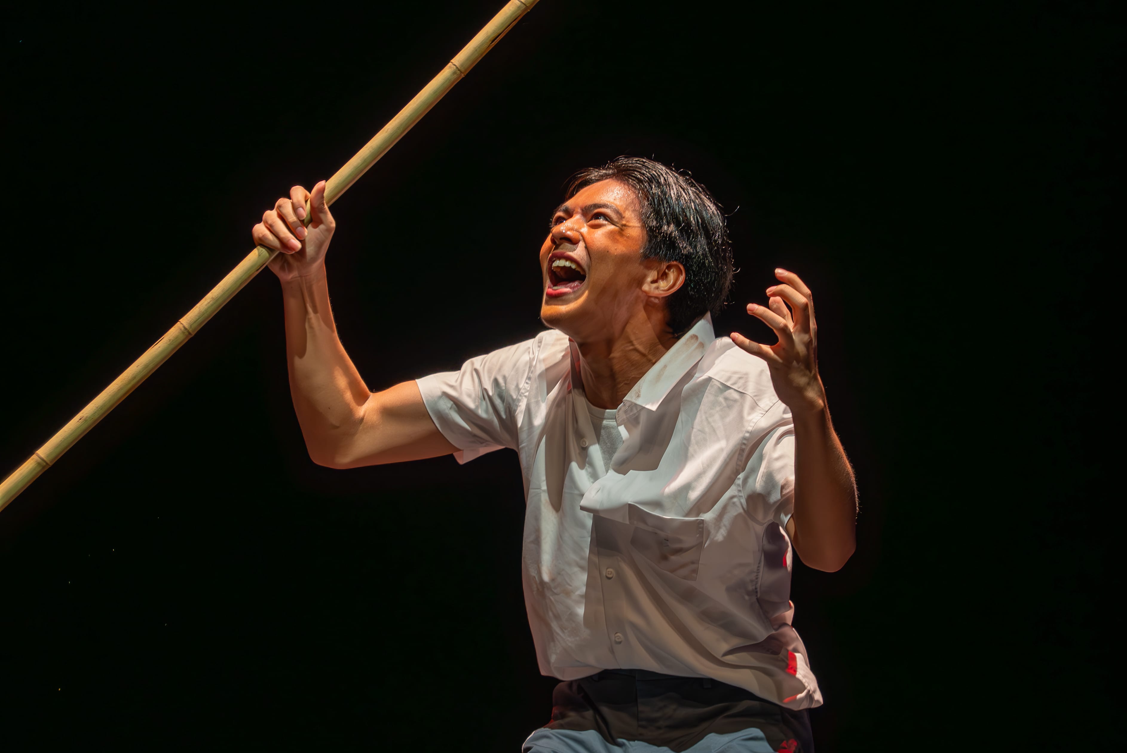 2025 SYF – LORD OF THE FLIES CERTIFICATE OF DISTINCTION